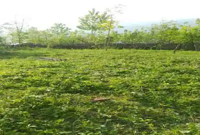 زمین ۷۰۰ متر در شفت با امکانات کامل روستای کلوان