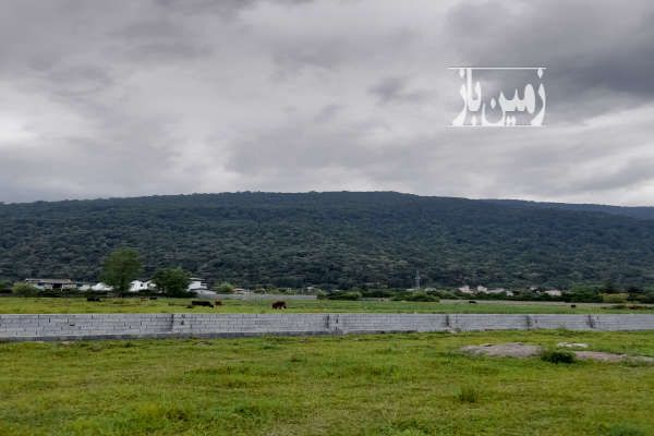 زمین فروشی چاخانی چالوس ۵۰۰ متر-3