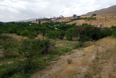 باغ با سند ششدانگ در دشت مشا خیابان امامزاده ۱۷۰۰ متر