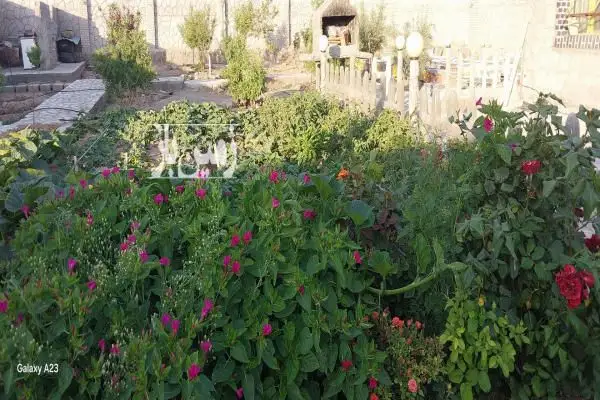خونه باغ ایلخچی روستای سرین دیزج ۷۴۸ متر - تصویر 3