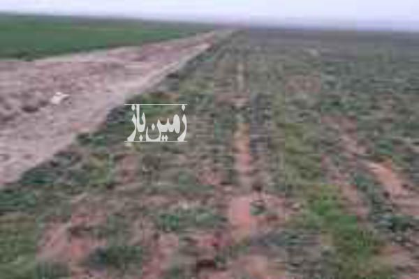زمین زراعی کشاورزی در روبروی دانشگاه صوفیان ۳۰۰۰ متر-1