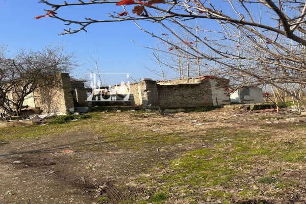 زمین و شالیزار مکانیزه روستای پرکاپشت مهدی خانی ۲۳۰۰۰ متر-3