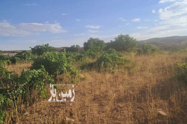 باغ انگور بیست ساله خان زنیان روستای سعادت آباد ۲۰۰۰ متر-3