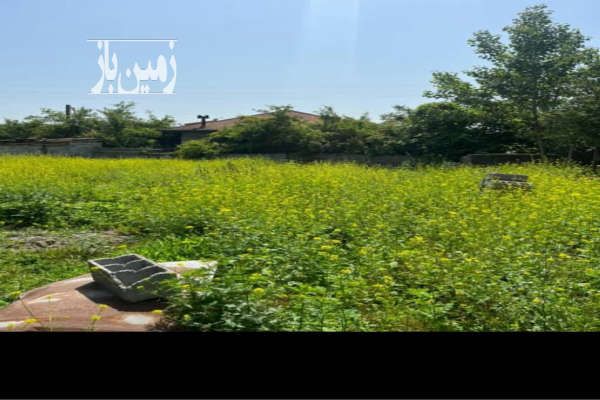 فروش زمین ۲۷۳ متری دابودشت وسکل-2