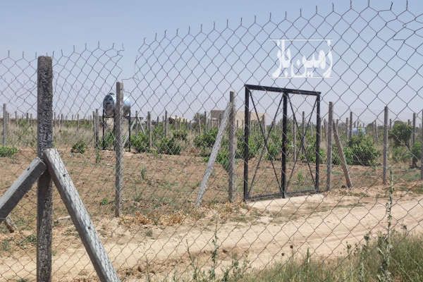 فروش زمین ۲۰۰۰ متری در تاکستان-1