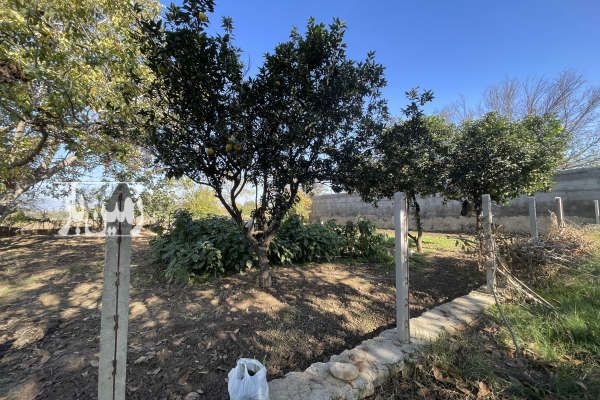 زمین مسکونی واقع در روستای ولمازو ۳۰۸ متر-3