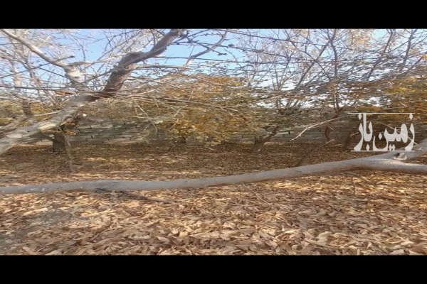 زمین سید آباد روستای ایقربلاغ ۲۰۰ متر-3