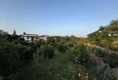 فروش زمین باغی چسبیده به بافت و بر کوچه آسفالته ۱۶۴۸ متر