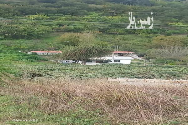 فروش زمین با مجوز اقامتگاه در لیسار ۱۶۰۰ متر-3