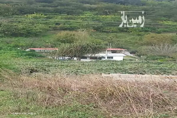 فروش زمین با مجوز اقامتگاه در لیسار ۱۶۰۰ متر - تصویر 3