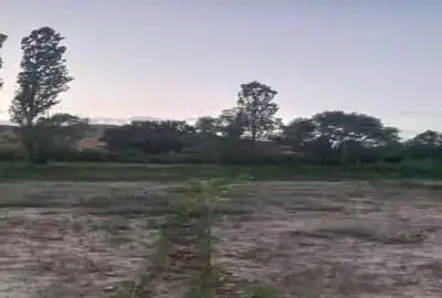 فروش زمین ۳۳۰۰ متر در فیروزکوه ابتدای جاده ارجمند