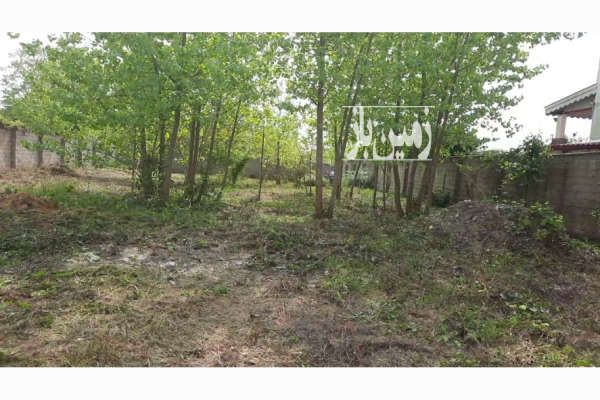 فروش زمین روستایی گیلان صومعه سرا ۱۰۰۰ متر-1