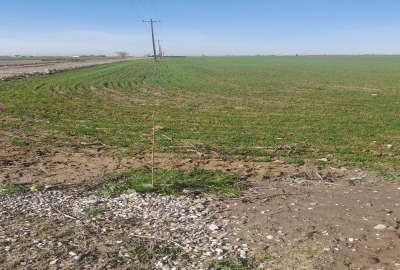 فروش زمین در گنبدکاووس روستای ایگدرسفلی ۱۰۰۰ متر