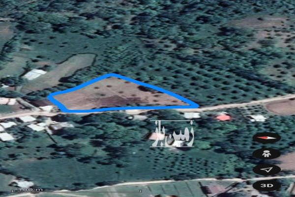 فروش زمین ۲۵۰۰ متر در کینچ کجور نوشهر-1
