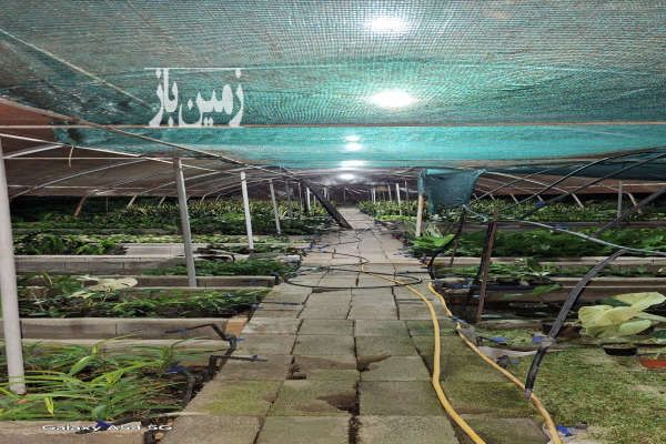 فروش زمین با گلخانه داری مجوز جاده ساری به قائمشهر ۲۰۰۰ متر-1