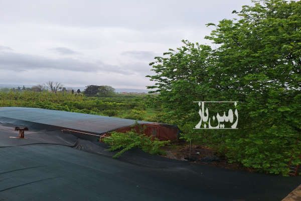 فروش زمین با گلخانه داری مجوز جاده ساری به قائمشهر ۲۰۰۰ متر-2