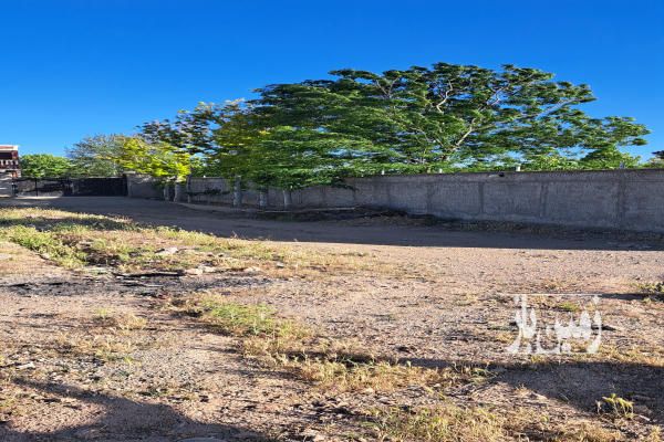 فروش زمین ۵۰۰ متر در کوهسار قلعه سلیمانخانی-3
