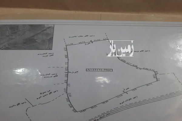 فروش زمین کشاورزی دیلمان روستای میکال ۱۵۱۷۲ متر-2