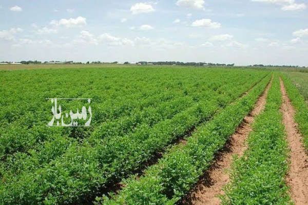 فروش زمین کشاورزی دارای چاه آب در افوس اصفهان ۱۵۰۰۰ متر-1