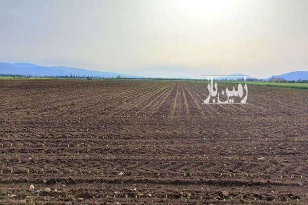 فروش زمین کشاورزی دارای چاه آب در افوس اصفهان ۱۵۰۰۰ متر-2
