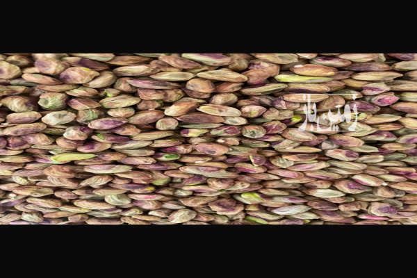 فروش باغ پسته در بویین زهرا ۵۰۰۰ متر-2