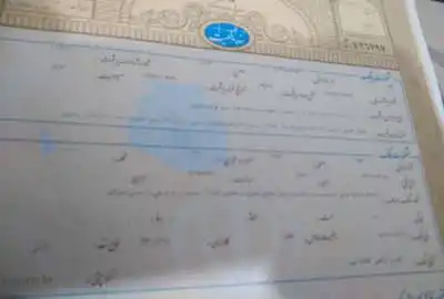فروش زمین زراعی در اراضی شور ۲۵۰ متر