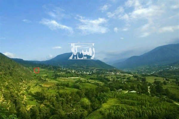 فروش ۲ هزار متر زمین کوهپایه ای در لاویج-1