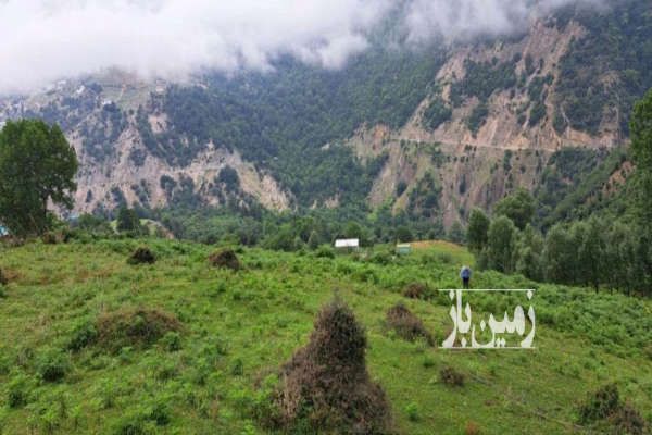 فروش ۲ هزار متر زمین کوهپایه ای در لاویج-2
