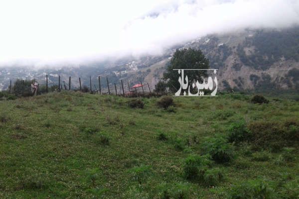 فروش ۲ هزار متر زمین کوهپایه ای در لاویج-3