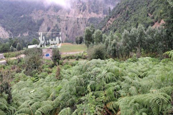 فروش ۲ هزار متر زمین کوهپایه ای در لاویج-4