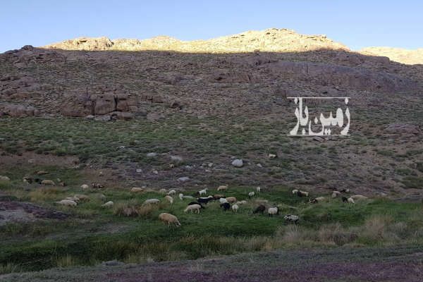 فروش زمین مسکونی در روستای سنگدراز یزد ۲۴۰ متر-2