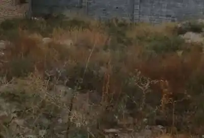 زمین ۱۰۰۰ متری واقع در شاهنامه ۱۸ روستای شاهراه