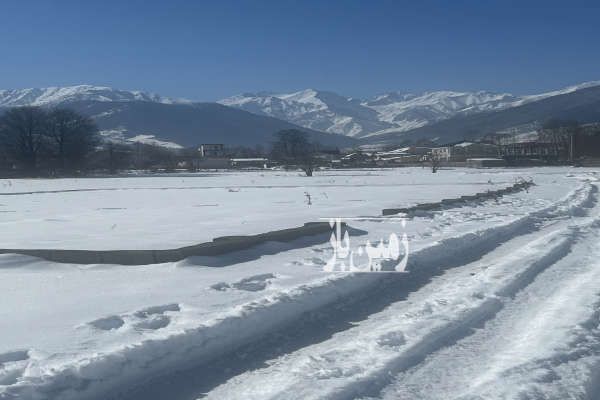 فروش ۸۰۰ متر زمین در روستای لشسر کلاردشت-1