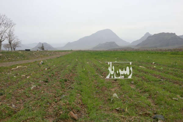 فروش باغ و زمین قم بین سلفچگان ونیزار ۱۰۰ هکتار-4