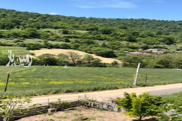 زمین مسکونی ییلاقی جنگلی ۳۰۰ متر در روستای رسبرم-1