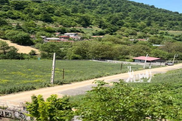 زمین مسکونی ییلاقی جنگلی ۳۰۰ متر در روستای رسبرم-2