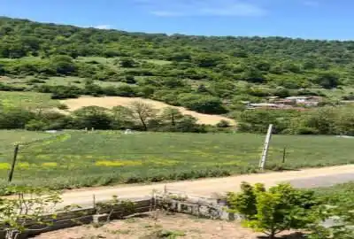 زمین مسکونی ییلاقی جنگلی ۳۰۰ متر در روستای رسبرم