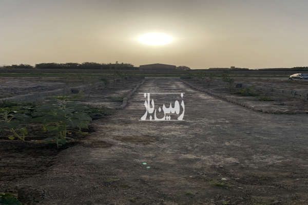 زمین ۳۰۰ متری مناسب باغچه و سرمایه گذاری-1
