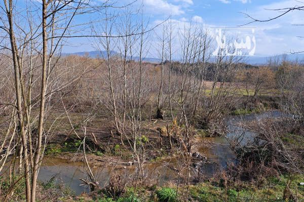 فروش زمین در شفت چوبر روستای میرسرا ۳۳۰۰ متر-3