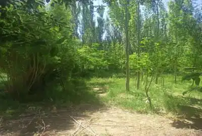 فروش باغ روستای گردشگری هونجان شهرضا ۱۳۰۰ متر