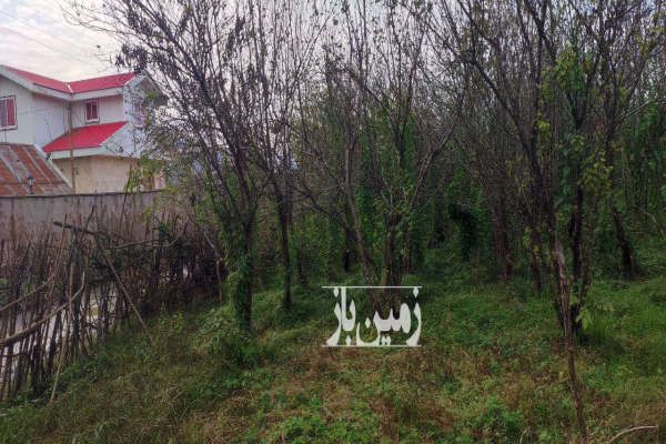 فروش زمین باغی مسکونی در روستای صیقل کومه ۸۵۰ متر-2