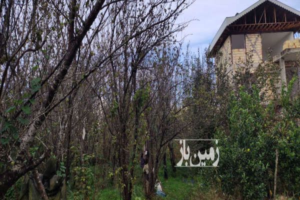 فروش زمین باغی مسکونی در روستای صیقل کومه ۸۵۰ متر-4