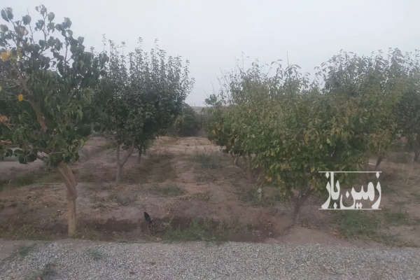 فروش باغ ویلا رباط کریم انجم آباد ۲۰۰۰ متر-4