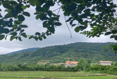 قطعه زمین شهرکی واقع در روستای عظیمیه ۳۶۰ متر