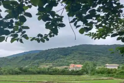 قطعه زمین شهرکی واقع در روستای عظیمیه ۳۶۰ متر