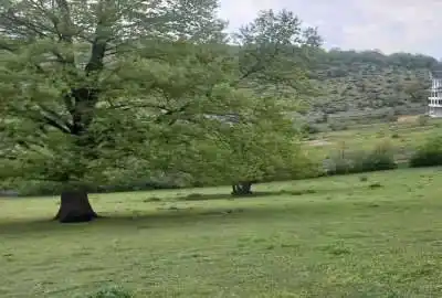 زمین شهرکی در دهکده زیبای باندر ۷۵۵ متر