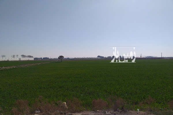 زمین بر اصلی جاده مهر خواه داودآباد ۶۰۰۰ متر-1