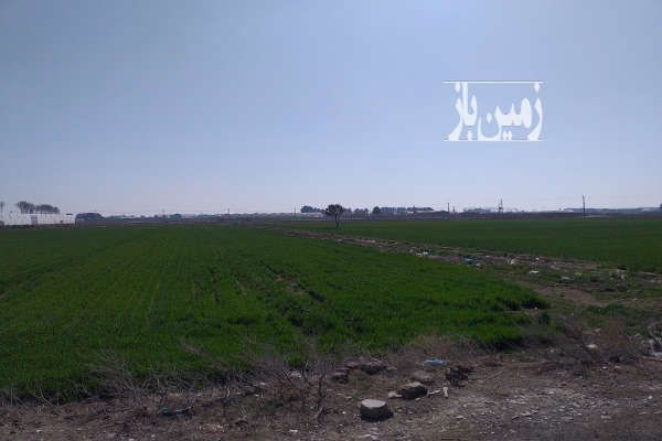 زمین بر اصلی جاده مهر خواه داودآباد ۶۰۰۰ متر-2