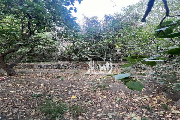 فروش باغ پر درخت محله پایین سولقان ۲۵۰ متر-1