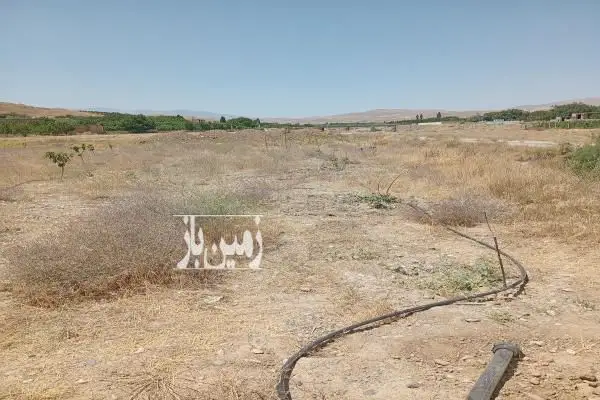 فروش باغ در جاده انهر روستای گوزگوند ۱۰۰۰ متر - تصویر 2